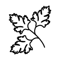 Parsley icon Black line art vector logo