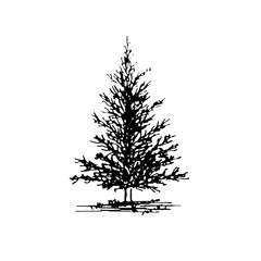 hand draw sketch of tree plant planter pen drawing for interior design