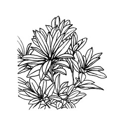 hand draw sketch of tree plant planter pen drawing for interior design