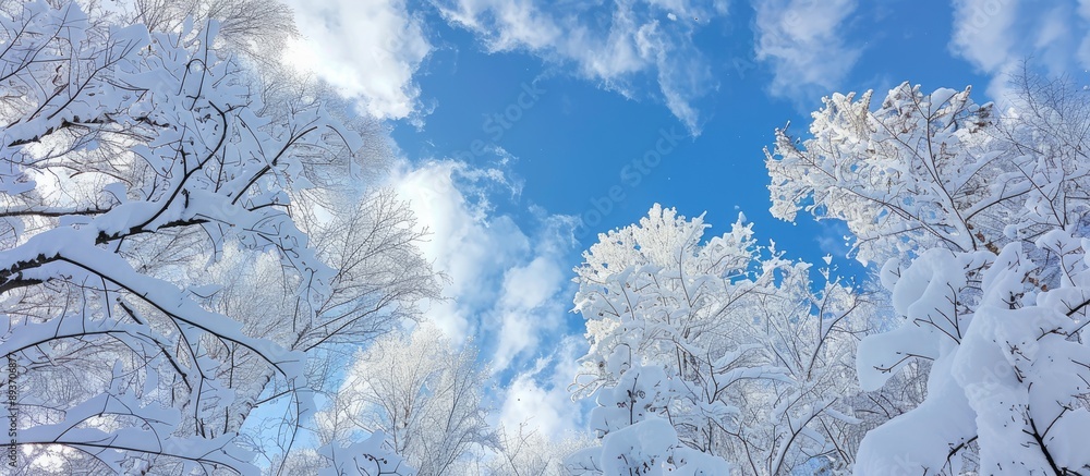 Poster fresh snow covers trees with a blue sky and clouds in the background, creating a picturesque scene w