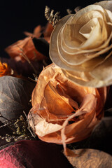 Acercamiento y detalles de flores secas, colores naranjas y tonos cálidos, plantas secas. Fondo oscuro, iluminación suave.