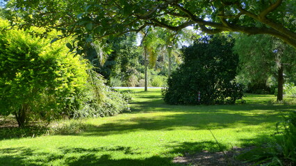 path in the garden