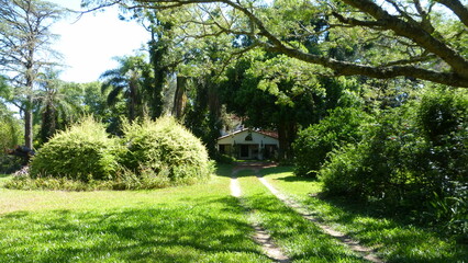 green garden with trees and house in the background