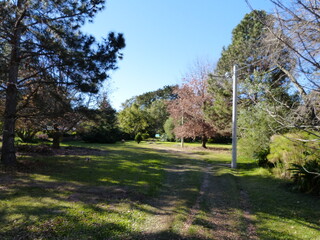 path in the park