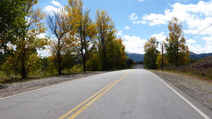 road with trees on each side and mountains far away