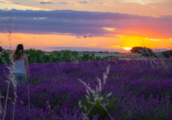 Atardecer en campo de lavanda