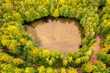 Leśne jeziorko na Kaszubach. © Janusz Lipiński
