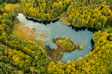 Leśne jeziorko na Kaszubach. © Janusz Lipiński