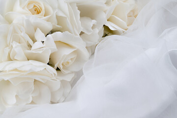 Fototapeta premium Photo of growing herbs in the garden