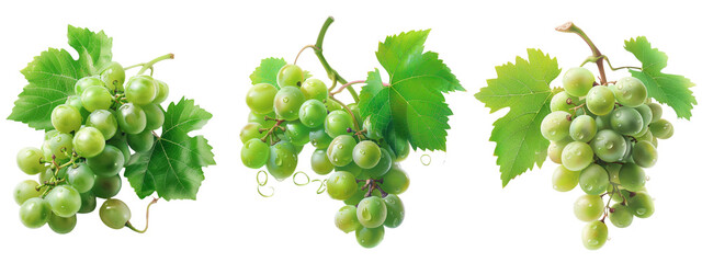 green grape isolated on white background