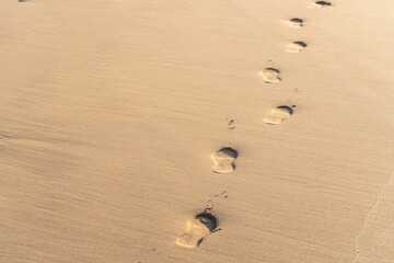 Footprints on sand, beach footstep, foot prints towards the horizon, symbolizing journey, seaside walk