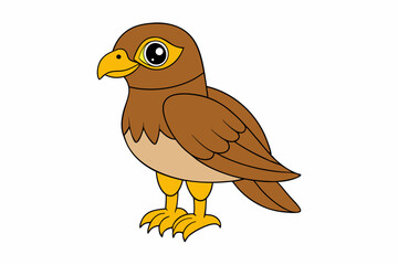 A Hawk vector art illustration