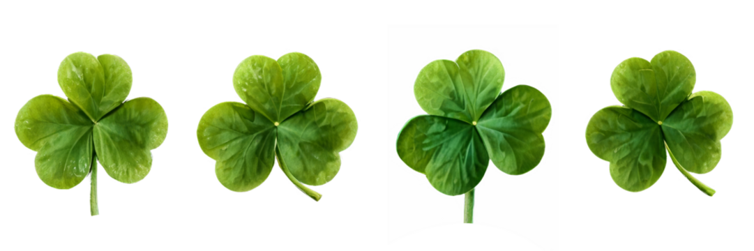 green lucky clover and shamrock isolated on transparent background - Powered by Adobe