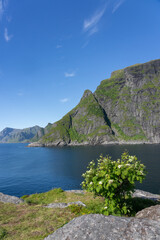 From Aa, Lofoten, Norway