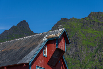 From Aa, Lofoten, Norway