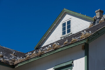 From Aa, Lofoten, Norway