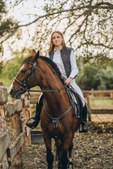 A young female jockey is sitting on her horse in show jumping training. Preparing for the...