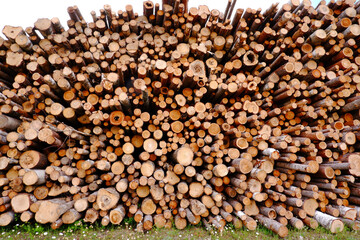 A huge pile of round logs.The concept of harvesting firewood for the winter for kindling stoves and fireplaces, wood processing.Warehouse of business timber.