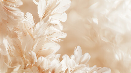 Airy and Soft Beige Background with Delicate White Feathering for a Natural and Light Design