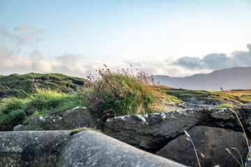Rosbeg harbour at sunset, County Donegal, Ireland