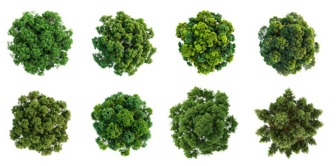 An aerial view of eight different green trees with leafy foliage against a white background