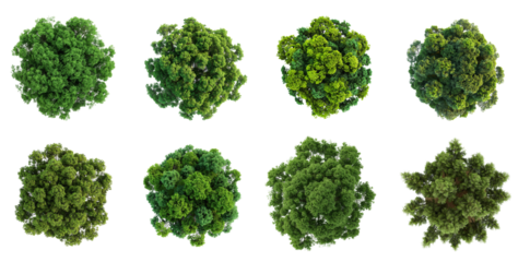 An aerial view of eight different green trees with leafy foliage against a white background