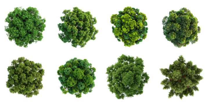 An aerial view of eight different green trees with leafy foliage against a white background