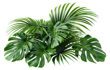 Lush green tropical plants bush, cut out