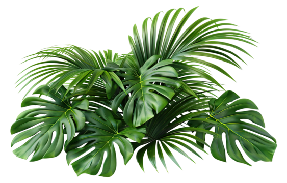 Lush green tropical plants bush, cut out