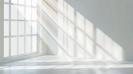 Fototapeta premium Minimalist Interior Design with White Pots and Sunlight