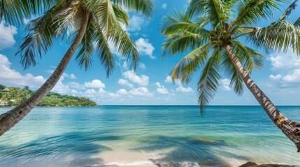 Coconut palm trees framing a pristine beach with clear blue sea and sky.