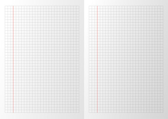 gridded with margin paper on a page spread white realistic