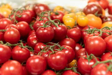 Red and Yellow cherry tomatoes on the vine