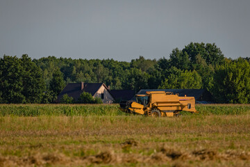 Naklejka premium Great combine harvester working at the field. Agricultural machine on the blue sky. Combine harvester harvests ripe wheat. Concept of a rich harvest. Agriculture image.