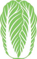 Chinese cabbage logo. Isolated Chinese cabbage on white background