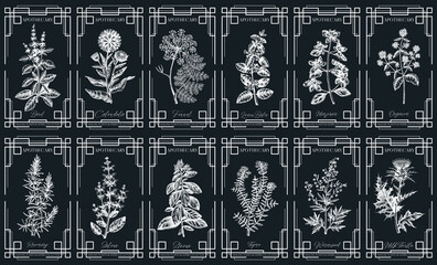 Art Deco apothecary labels set. Witchcraft, healing herbs, mystical plant sketches. Vintage frame design templates. NOT AI generated © sketched-graphics