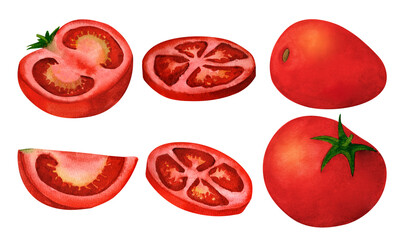 Cut half, slice and quarter tomato, watercolor illustration, isolated on white background. For prints on textile, plates and dishes design, decoration for kitchen, restaurant menus, recipes, cookbook