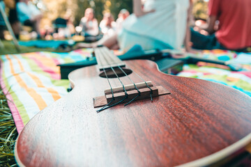 Ukulele in nature,  concept of a fun musical weekend