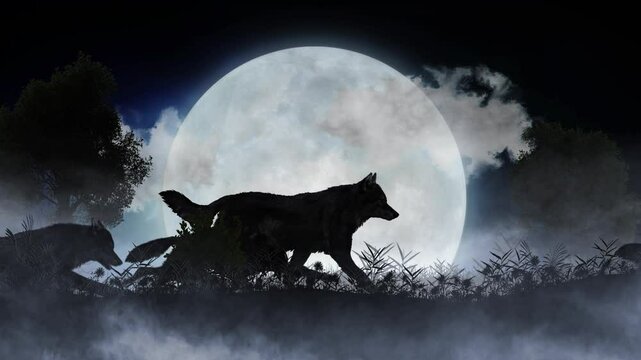 Wolf Pack Full Moon Howl 4K Loop features silhouettes of wolves running through a field of grass and fog with one wolf stopping to howl at a full moon in a loop.