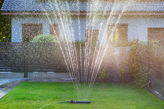 Grass swing sprinkler watering the lawn in the backyard of a house.