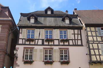 Fototapeta premium Ribeauville