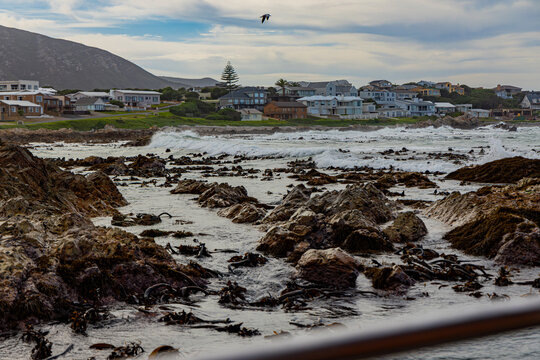 Gansbaai Bay, South Africa