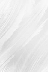 Obraz premium White abstract brush strokes on a light background.