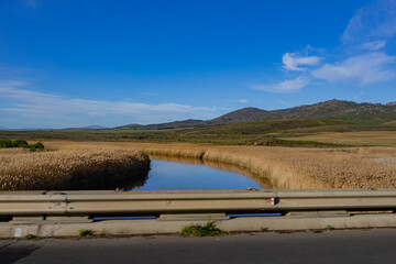 Gansbaai Bay, South Africa