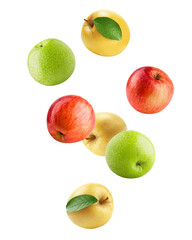 Falling colorful apples, red green and yellow fruit, isolated on white background, full depth of...