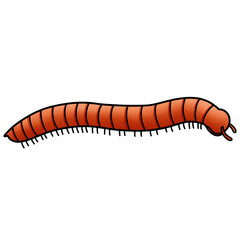 Millipede illustration by hand drawn on white background 