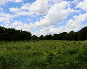 The country landscape with the fluffy clouds in the sky.