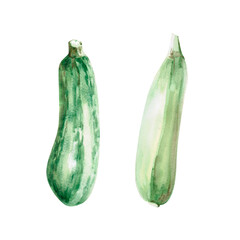 Illustration of beets with leaves in watercolor. Hand-drawn illustration on a harvest theme for agricultural fairs, harvest exhibitions, shops, vegetable shops Illustration isolated from background