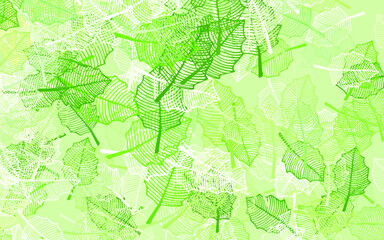 Light Green vector doodle backdrop with leaves.