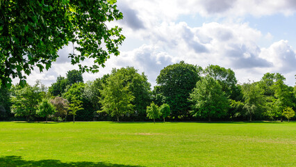 grass and blue sky